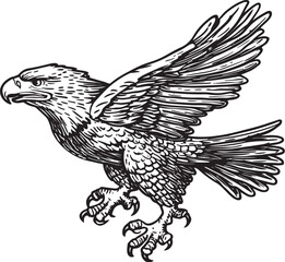 eagle vector illustration