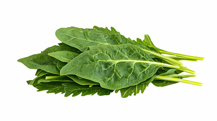 Fresh Spinach Leaves Isolated On White Background