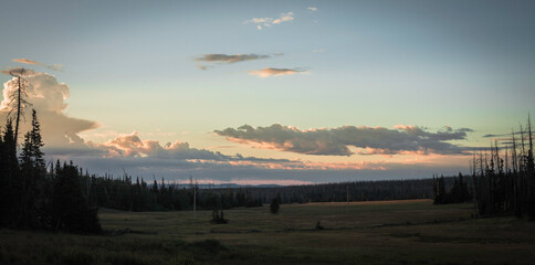 Sunset in the meadow with trees