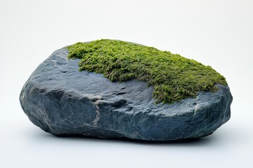 Scenic Moss-Covered Boulder in Nature's Art. Organic Textured Green Landscape for Earthy Home Decor and Wellness