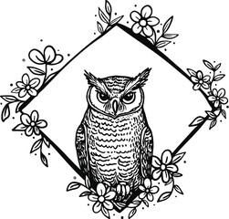 owl on a white background