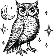 owl on a white background