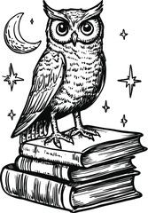 owl on a white background