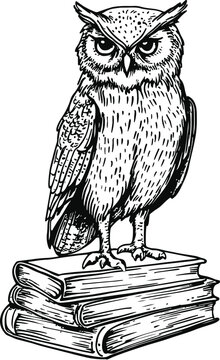 owl on a white background