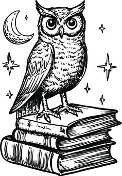 owl on a white background