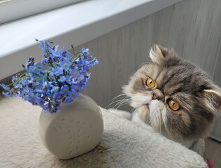 cat with flowers