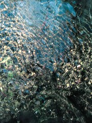 Colorful reflection in the moving surface of the water. Transparent water. Sandy bottom. Brilliant rays of sunlight. Spring in the wilderness. Abstract textured background