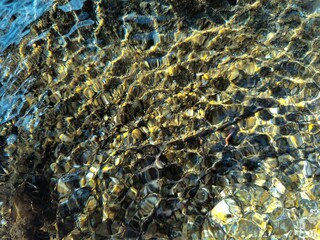 Colorful reflection in the moving surface of the water. Transparent water. Sandy bottom. Brilliant rays of sunlight. Spring in the wilderness. Abstract textured background