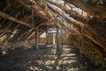 interior of an old livestock shelter, with a collapsed wooden beam roof, a ruin door at the background, chozon sabinero, ancient rural constructions, horizontal