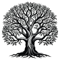 Obraz premium Detailed Hand-Drawn Oak Tree Illustration