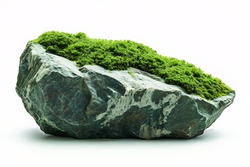 Mossy Rock Landscape. Embracing Nature's Green Tranquility and Organic Beauty for Sustainable Home Decor