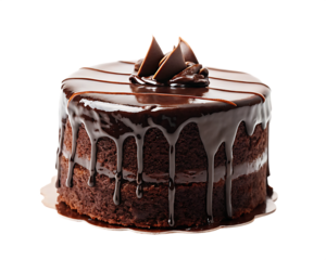chocolate cake isolated on white background PNG