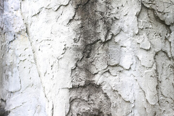 Old cement wall texture as background.