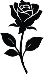 silhouette black and white rose