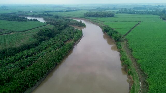 Cauca River Through Sugarcane Fields. High quality 4k footage