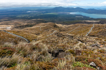 New Zealand Road Trip Adventure: 100 Stunning Photos Capturing the Natural Beauty, Colors, and Wild Landscapes Across the South and North Islands — From Mountains to Beaches and Forests