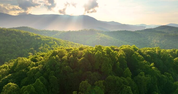 Mount Mitchell landscape. Bright sunrise in North Carolina Appalachian mountains in summer season. Summertime landscape of beautiful nature