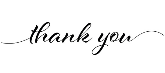 VECTOR Thank you hand drawn inscription with lines. Calligraphic inscription, vector illustration.	
