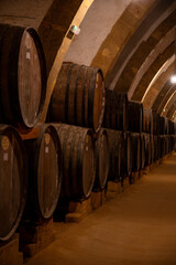 Visit of wine cellar with old large oak barrels, production of fortified dry or sweet tasty marsala wine in Marsala, Sicily, Italy