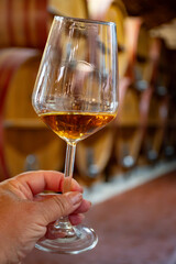 Visit of wine cellar with old large oak barrels, hand holding glass of fortified dry or sweet tasty marsala wine from barrels in Marsala, Sicily, Italy
