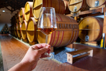 Visit of wine cellar with old large oak barrels, hand holding glass of fortified dry or sweet tasty marsala wine from barrels in Marsala, Sicily, Italy