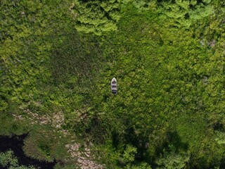 Kanapaha Lake - Small Boats Reclaimed By Nature