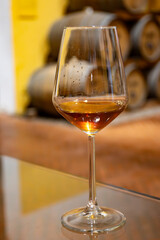 Visit of wine cellar with old large oak barrels, glass of fortified dry or sweet tasty marsala wine from barrels in Marsala, Sicily, Italy