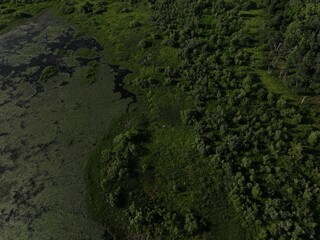 Kanapaha Lake - Small Boats Reclaimed By Nature