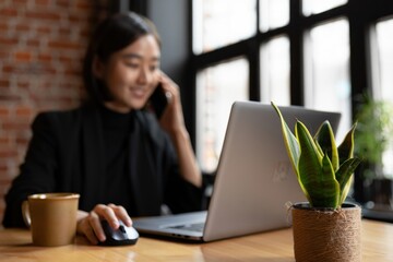 woman using a laptop and mouse in a cozy indoor setting with a potted plant and a cup on the wooden table near a large window during daytime