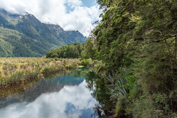 New Zealand Road Trip Adventure: 100 Stunning Photos Capturing the Natural Beauty, Colors, and Wild Landscapes Across the South and North Islands — From Mountains to Beaches and Forests