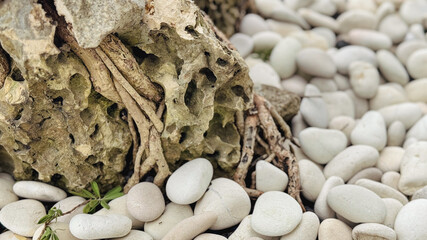 A large piece of driftwood lies on a pile of smooth white pebbles and small stones on a beach. © Ahmad