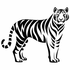 Black and white tiger vector illustration standing wildlife animal bengal tiger design predator cat graphic 100