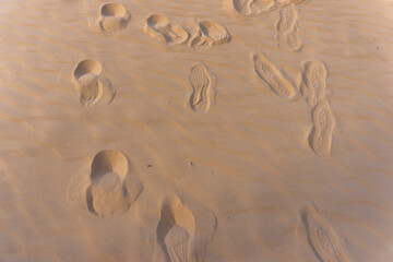 Multiple Human Footprints on Soft Golden Desert Sand at Sunset with Wind-Sculpted Patterns and a Sense of Solitude and Adventure