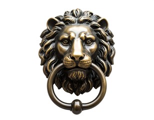 Ornate bronze lion door knocker