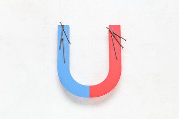 Magnet with nails on white background