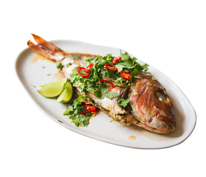 thai red snapper fish fry