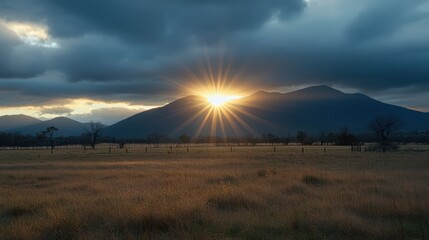 Sunlight filters through tall trees in a lush green field, highlighting natural foliage and casting soft shadows on the grassy landscape.
