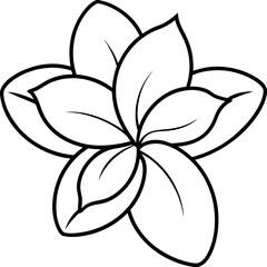 Simple Frangipani Illustration
