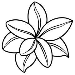 Simple Frangipani Illustration