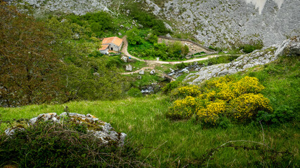 Small rural house with orange tiled roof nestled in green valley by stream