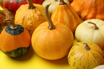 Different fresh pumpkins on yellow background, closeup