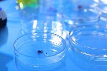 Petri dishes with samples on light blue background, closeup