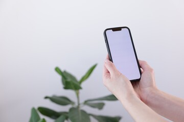 Woman holding smartphone with blank screen on blurred background, closeup. Mockup for design