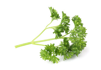 Sprig of fresh parsley isolated on white