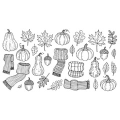 Autumn pumpkins leaves acorns and scarfs doodle sketch for fall season vector design background illustration