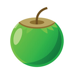 palm coconut tree icon vector art