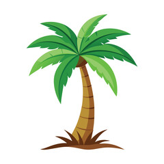 palm coconut tree icon vector art