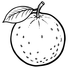 Minimal Clementine Illustration