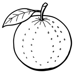 Minimal Clementine Illustration
