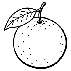 Minimal Clementine Illustration